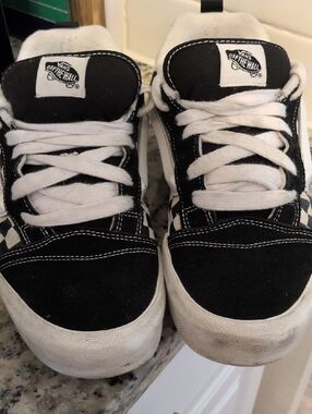 Vans Black and White Low-Top Skate Sneakers